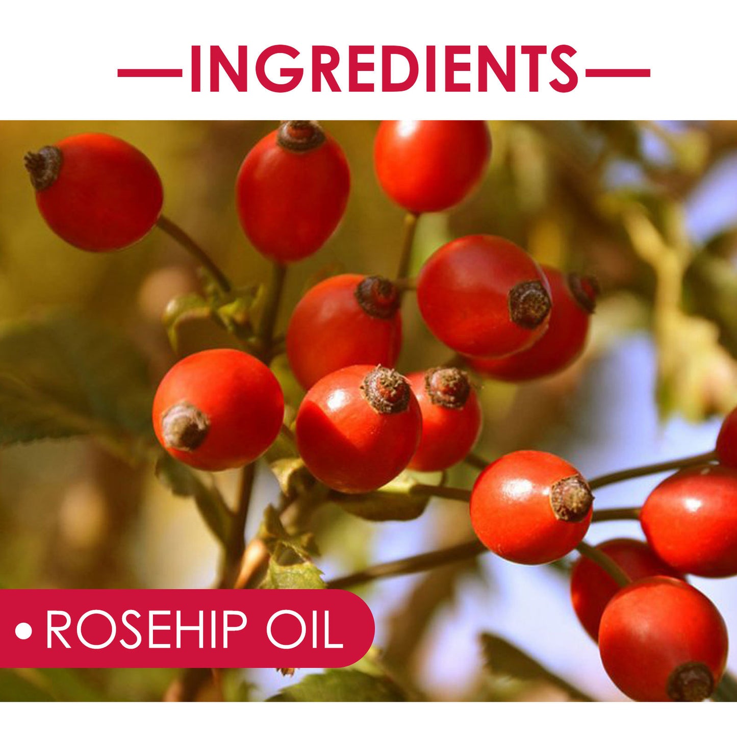 EELHOE Rosehip Oil For Facial And Body Hydration